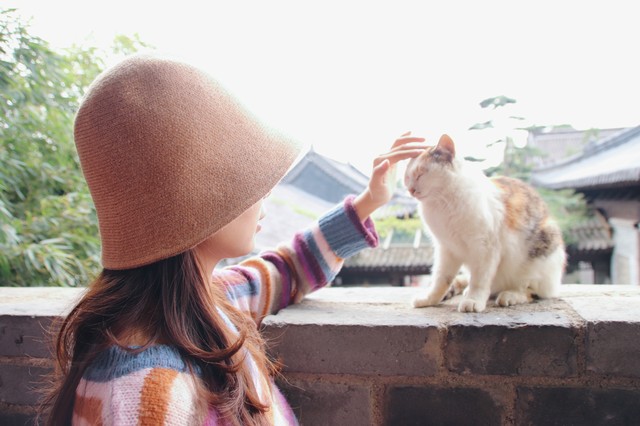 什么样的女人是好女人,什么样的女人是好女人短句
