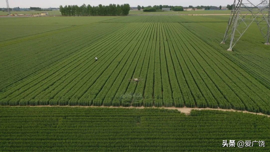 农业信息化助力乡村振兴,数字赋能乡村振兴与智慧农业