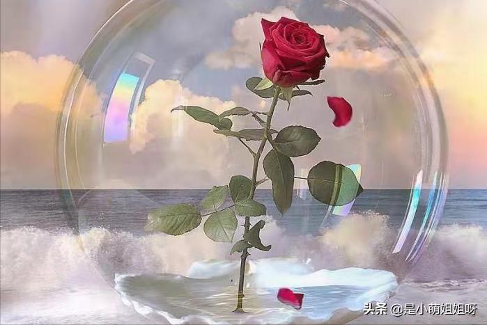 怎样才可以一夜涨粉到6000,一个月涨粉600w