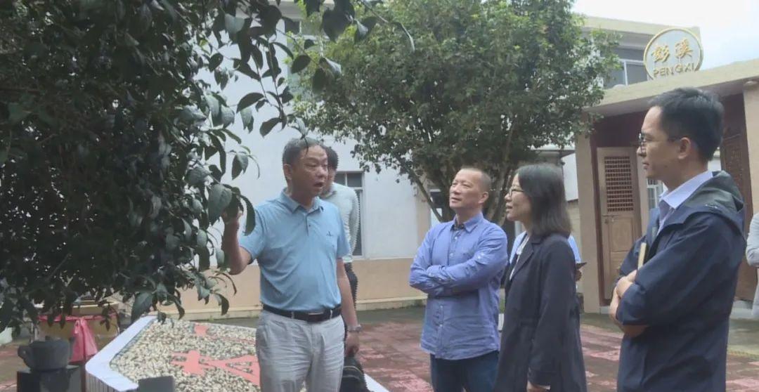 鑼跺彾涓撳鐜板満璁茶В鍥剧墖,鑼跺彾鎺㈣