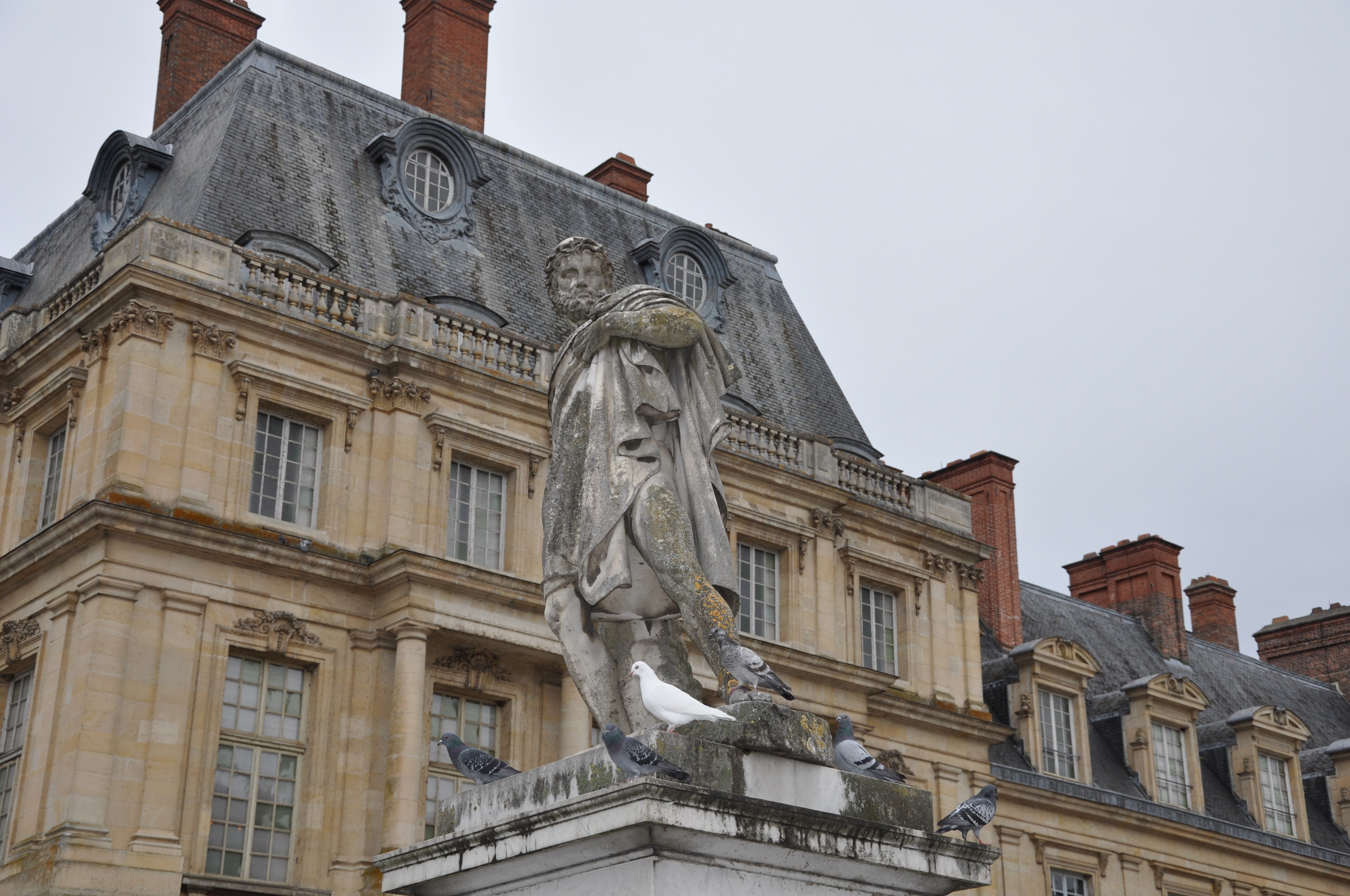 枫丹白露宫名字由来,枫丹白露宫殿俯视图解