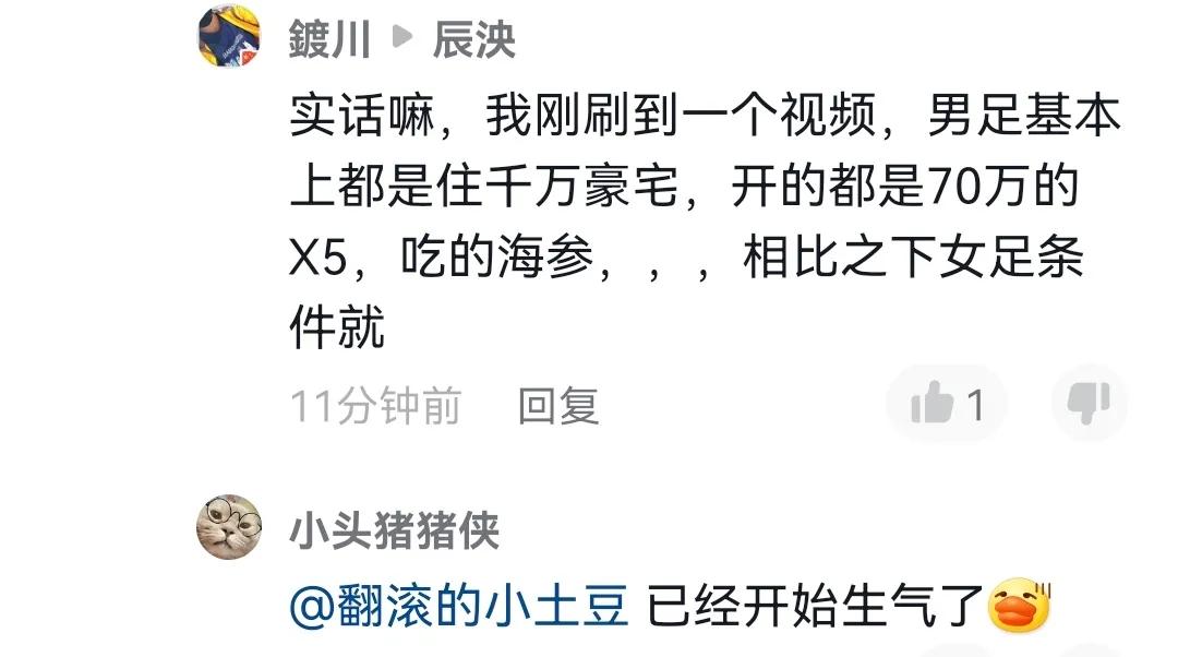 中国足球经典交锋,中国足球双骄