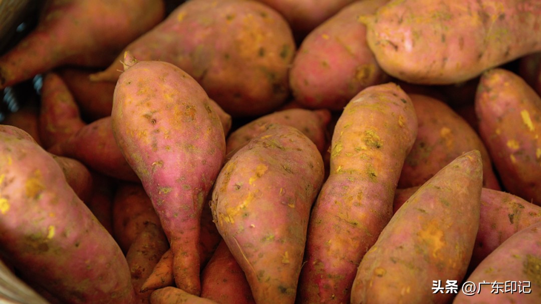 广州周边3-4小时旅游攻略,广州出发自驾四天粤西攻略