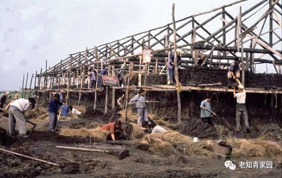 北大荒知青生活叙事诗——北大荒“游击词”100篇