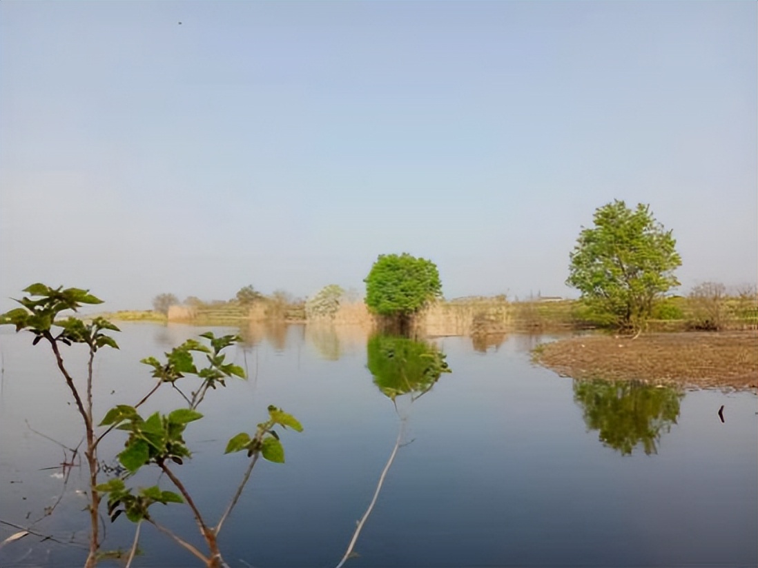 季国强,季国强的唯美诗句