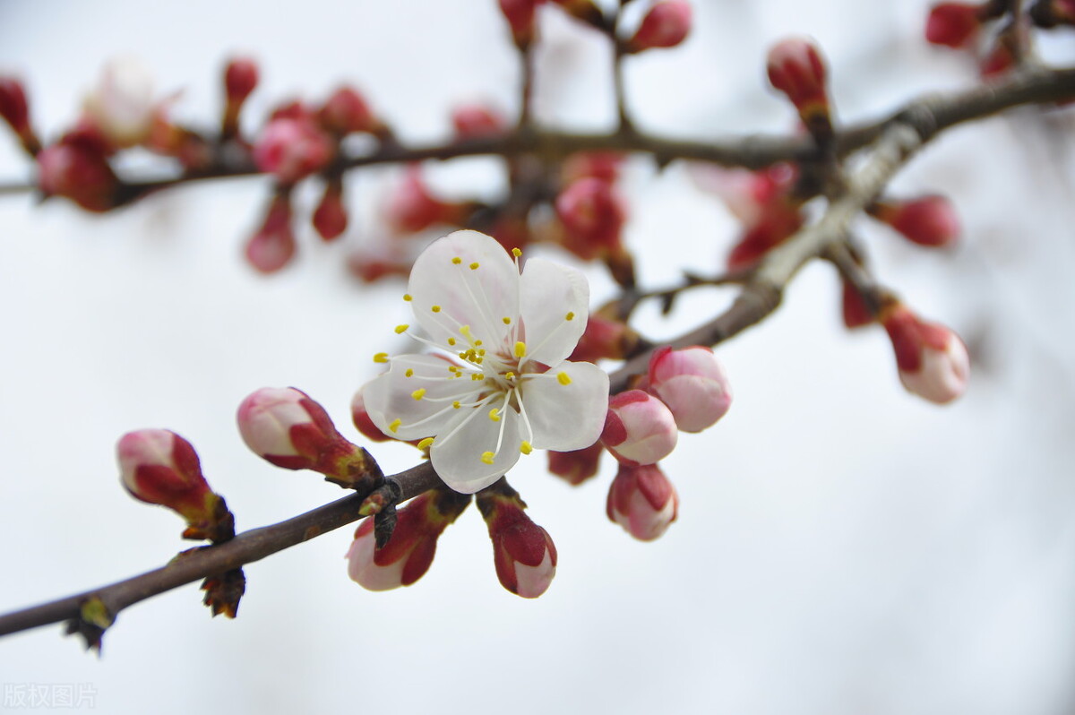 中医前列腺炎秘方验方,中医治疗前列腺炎医案分析
