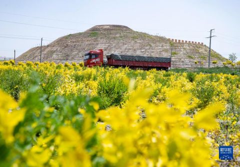 贺兰山煤层燃烧怎么引起的,贺兰山煤层燃烧历史