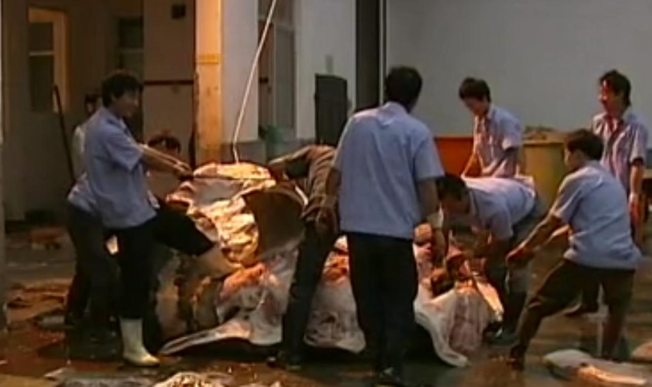 中国“鲨鱼村”的聪明商人：加工迷你“小鲨鱼”，年入3000万