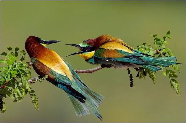 100幅经典摄影作品欣赏,100幅精品摄影图