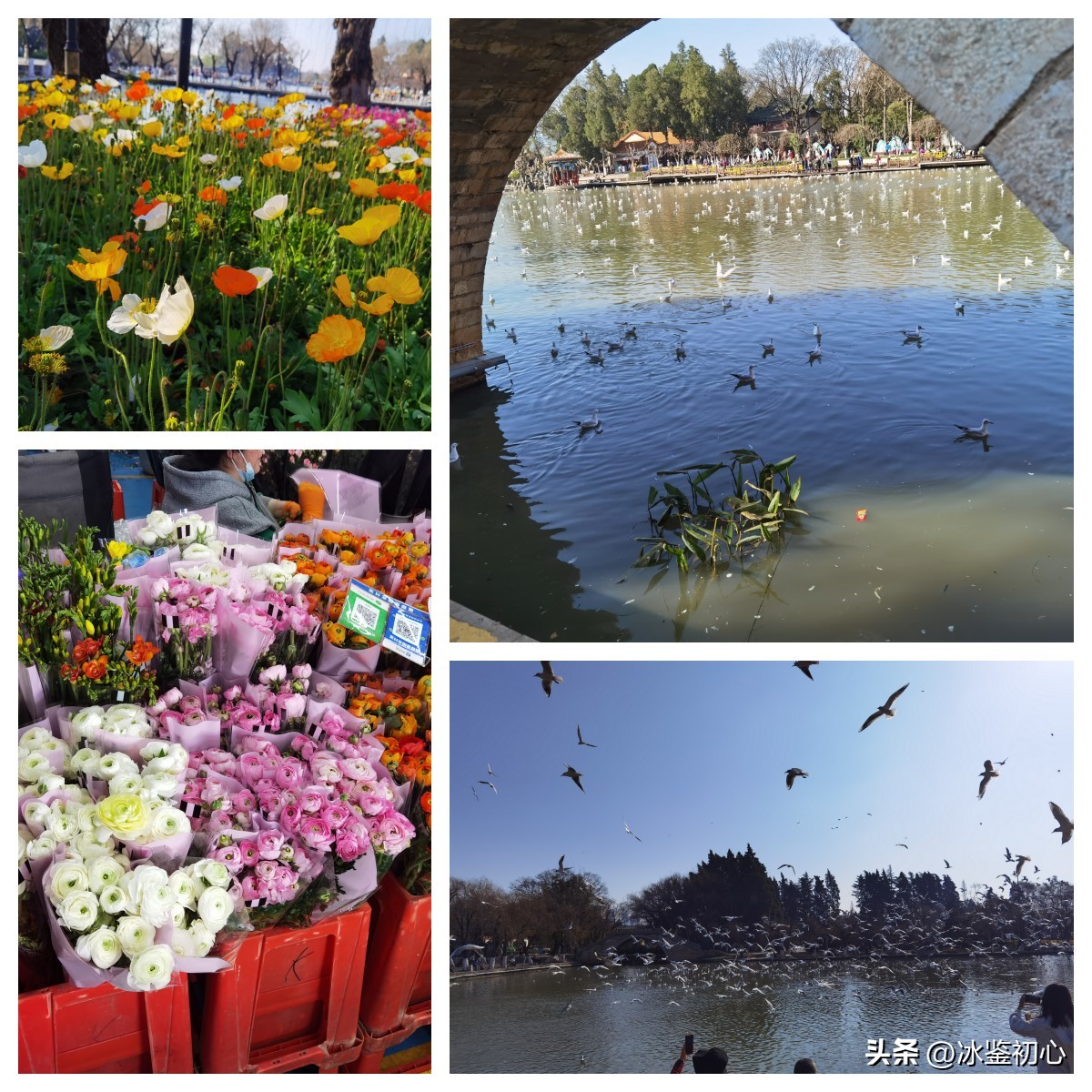 云南西双版纳旅游景点攻略自由行,云南自驾旅游攻略自由行路线推荐