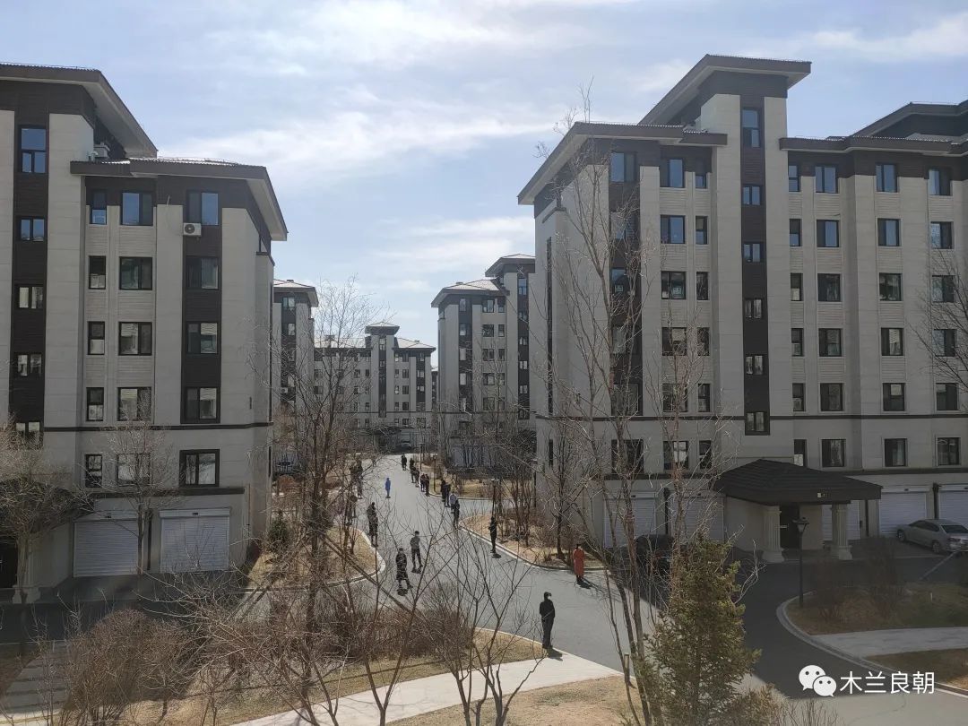 亲爱的大白,亲爱的大白我想对您说