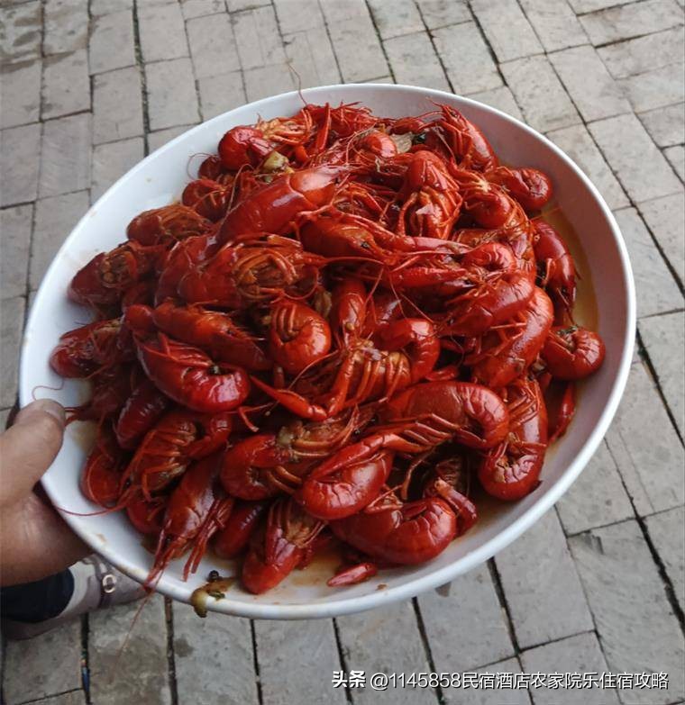 白洋淀农家打鱼,白洋淀农家院野钓推荐