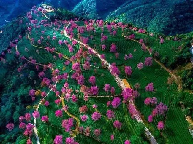 人为什么要照顾好自己的身体,照顾好自己的身体就是赚钱