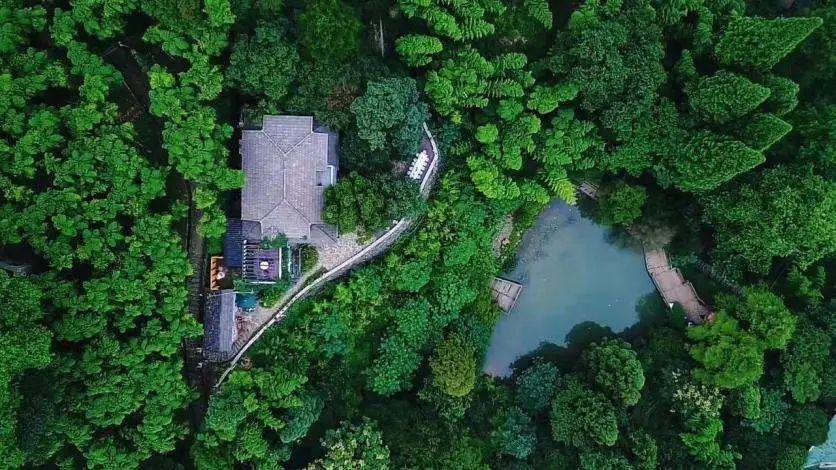 酒店的价格，拉胯的服务，骗人的景色：网红民宿大*局骗**