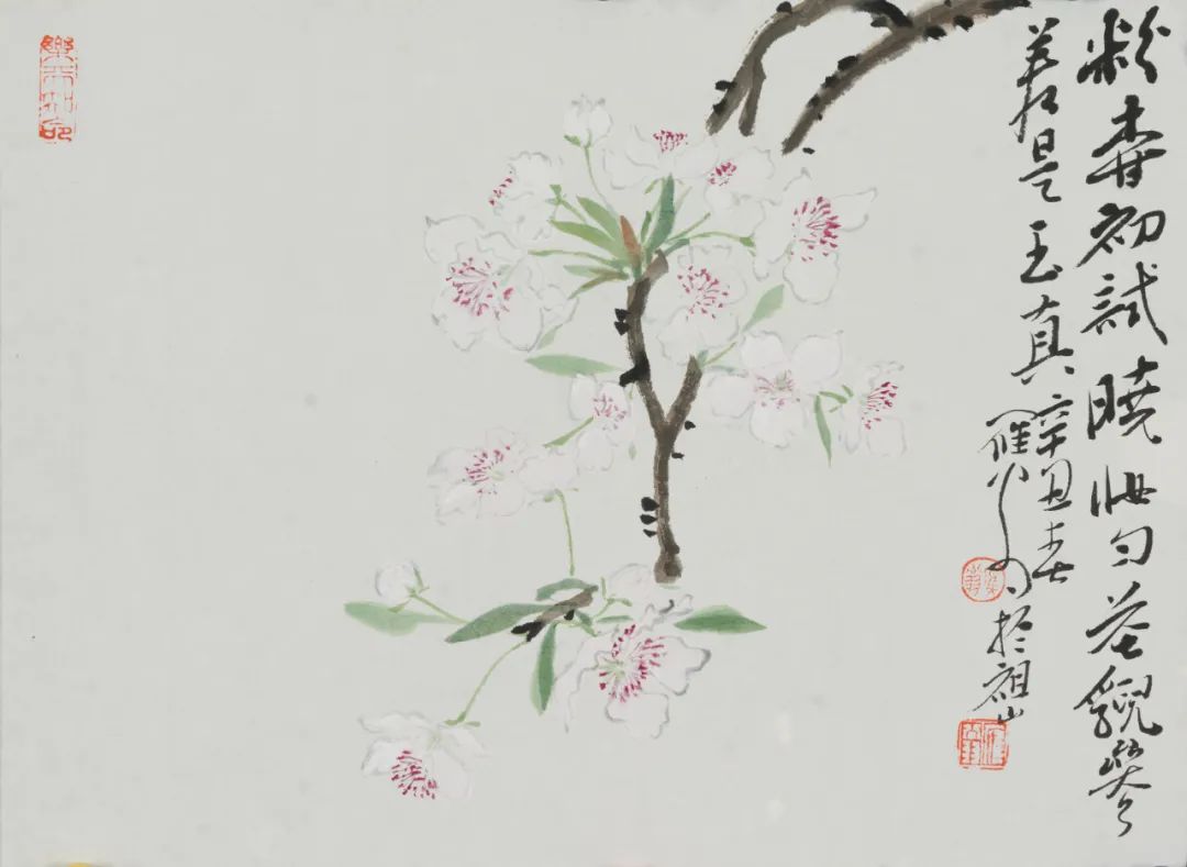 一花一木一情怀的下一句,一花一木一壶茶的生活