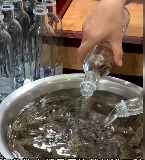 cici姐是赌王三太侄女吗,cici是赌王三太陈婉珍的侄女吗