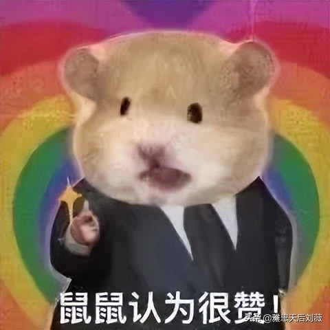 ketpet大学英语四六级,考ket和pet和雅思