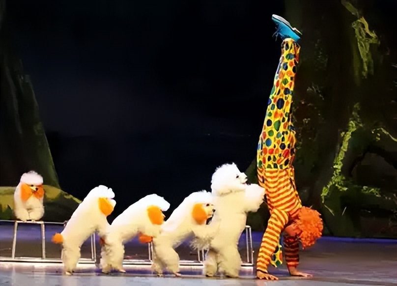 【青岛】2023环球马戏嘉年华