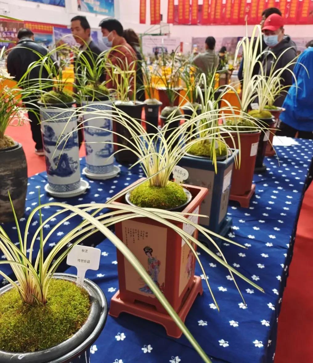 爱兰者说,交易看人,诚者长存