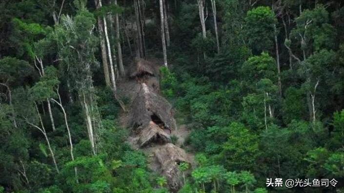 亚马逊河为什么被称为人类禁区,亚马逊河到底有多可怕