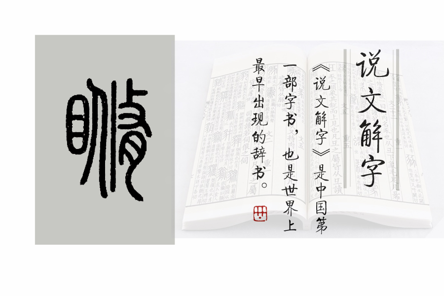 《说文解字》第648课:如何用一个字表达“眼皮跳”?