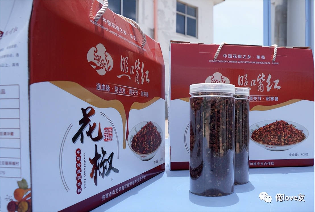 大王镇乡村振兴,莱芜区大王庄镇照嘴村