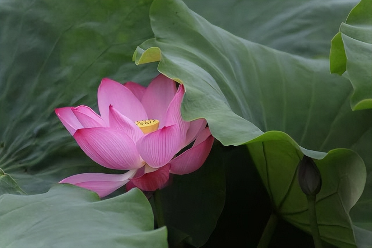 人到中年挣钱是最重要的事,只要放下面子就能赚钱的行业