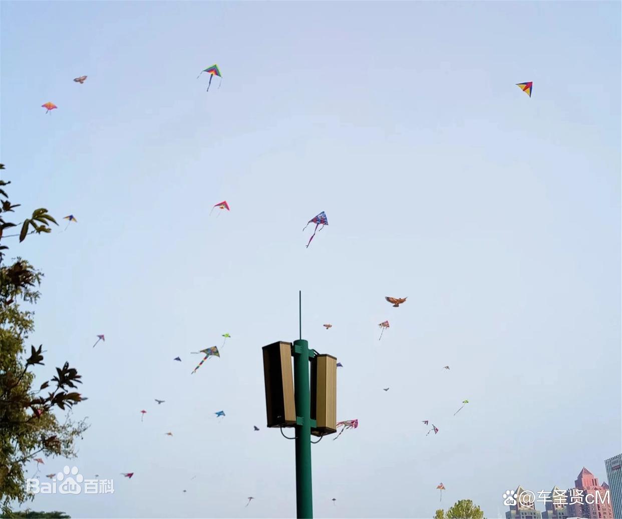 深圳莲花山公园风景,深圳人气最旺的公园