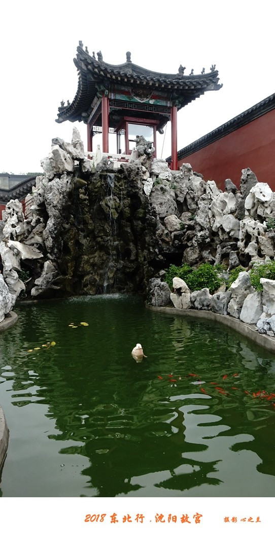 东北游记哈尔滨沈阳行,沈阳游故宫攻略