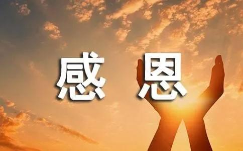 感受夏天的文案,感受夏天知了的叫声