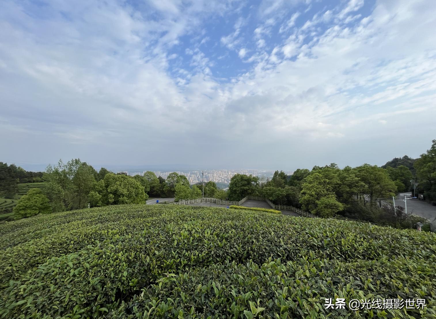 永川茶山竹海今年国庆免门票吗,2022国庆节永川茶山竹海攻略