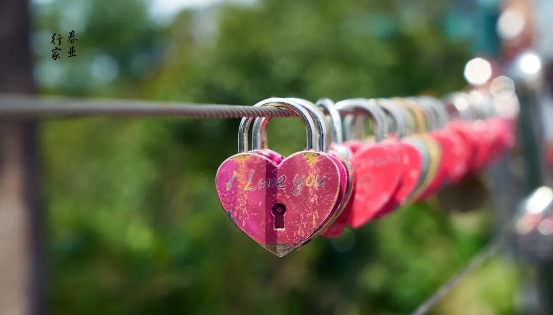 中信证券投行员工相亲,中信证券男女路演