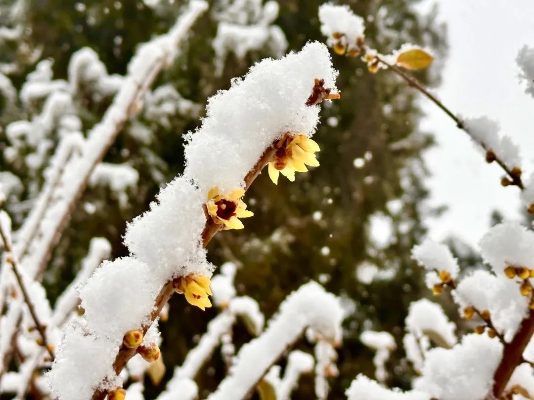 石家庄下雨哪里风景最美,石家庄冬季风景好的地方