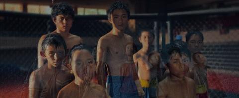 王宝强深度解析,王宝强成功的奥秘