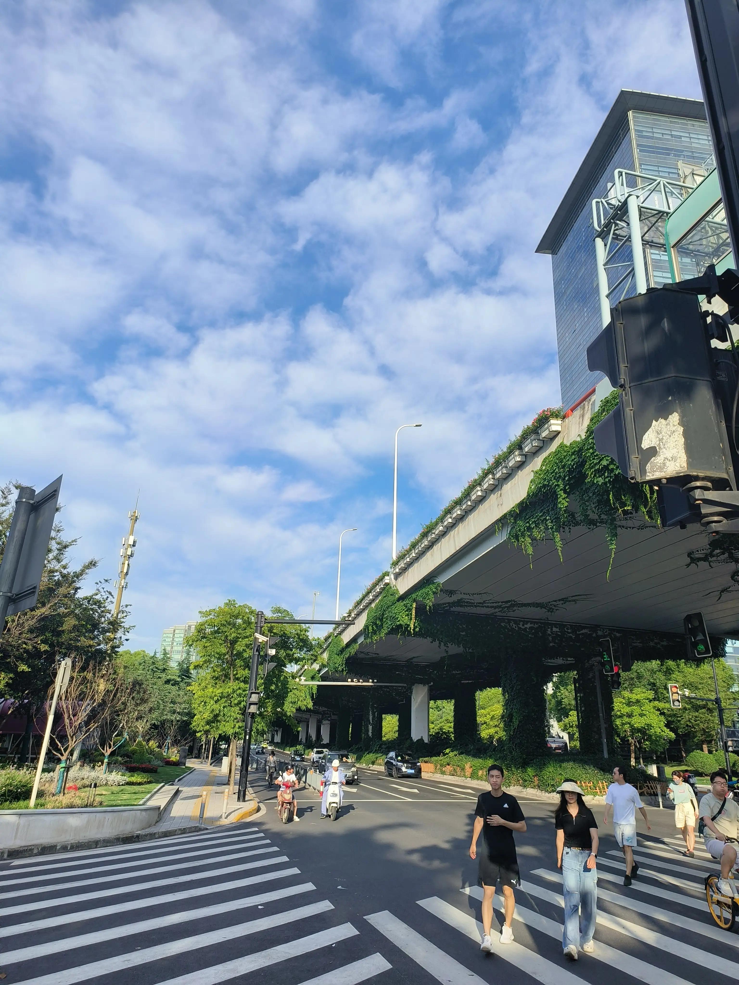 夏日花草别样美,美丽的花草合集