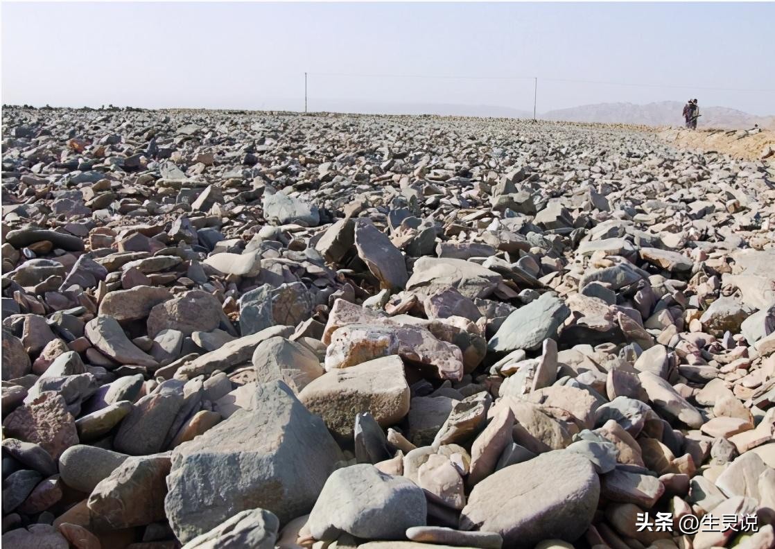 戈壁西瓜现状如何,戈壁西瓜种植技术