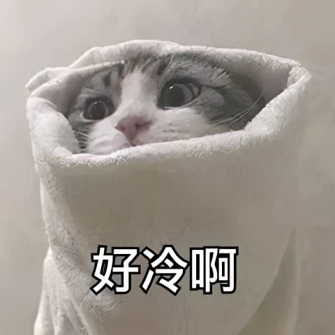 气血不足皮肤暗黄怎么调养,男士肝郁气血不足怎么调养