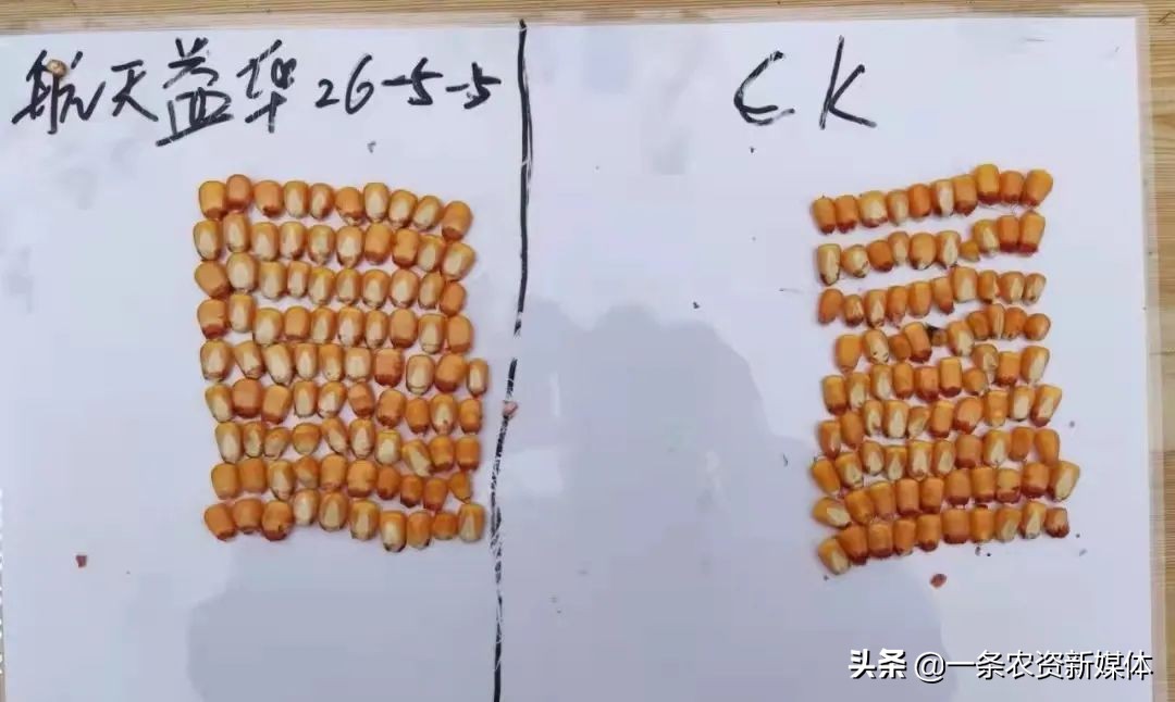 生物有机肥和复合肥搭配,生物有机肥和通用型复合肥