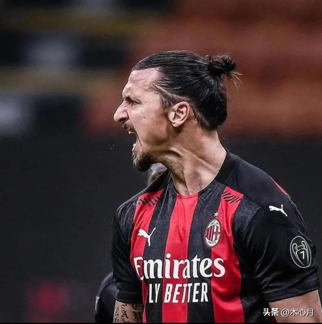 木心月简介,木心法兰克福