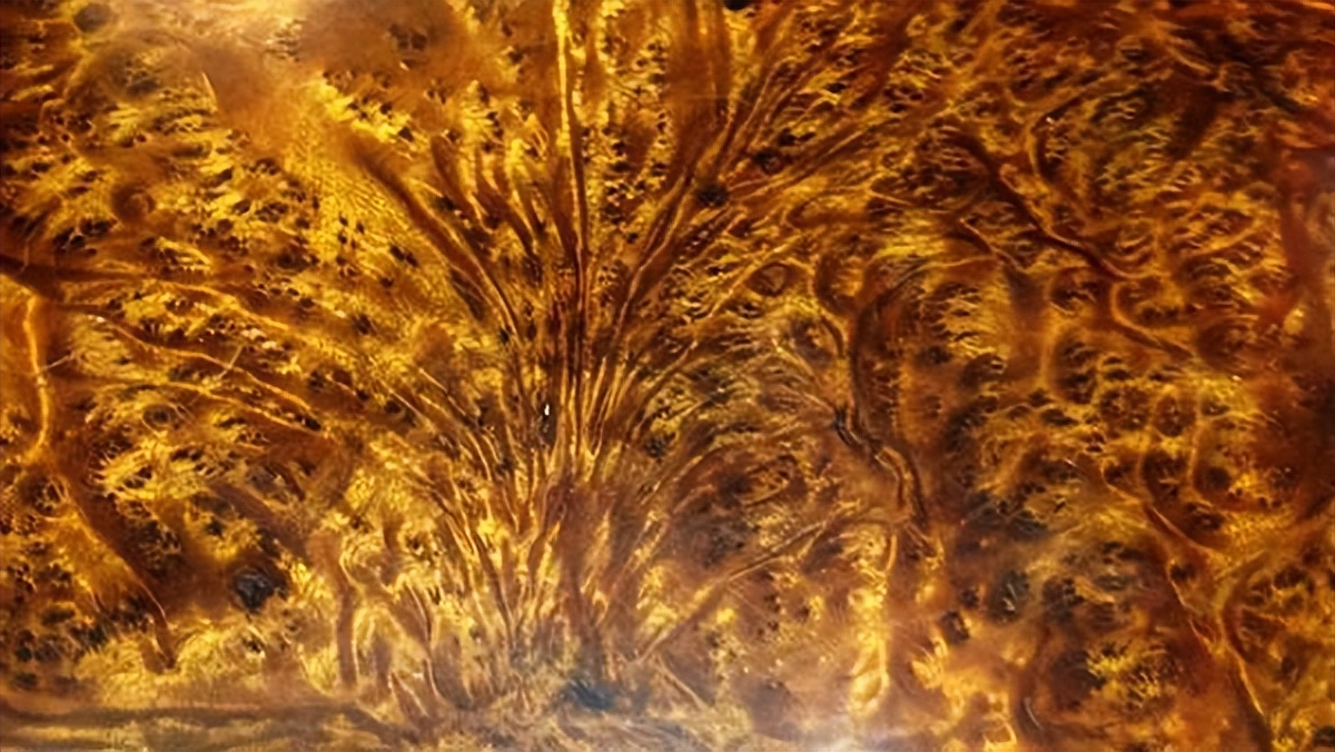 美出天际,流光溢彩的金丝楠木