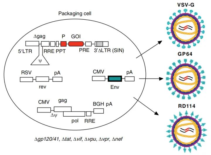 叮咚快来查收这份过年必备指南,叮咚请收好这份灾害防御指南