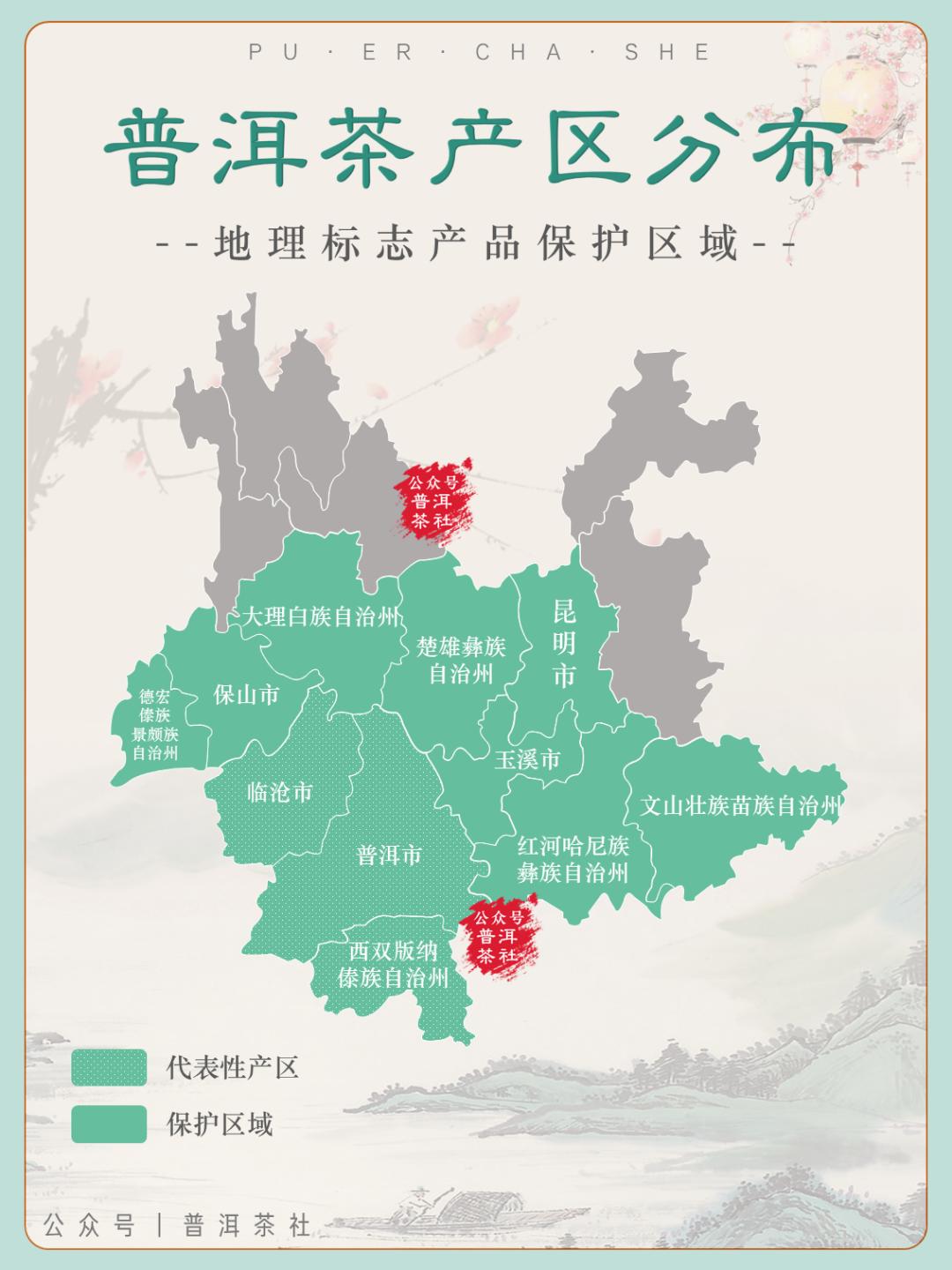 正宗的云南普洱茶是什么样的,真正的云南普洱茶是什么样