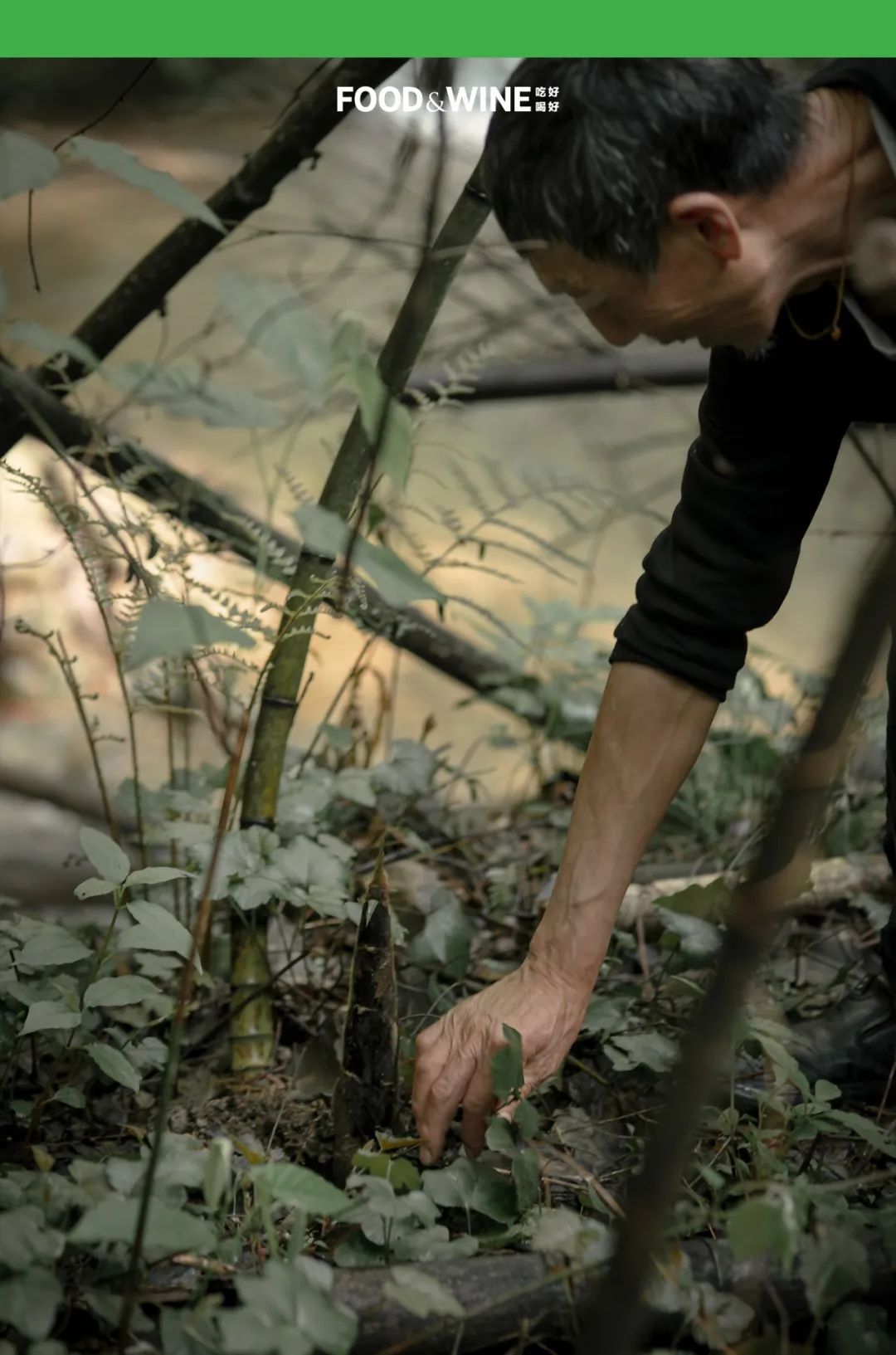 鏅痉闀囧搴欏悆鏂嬮キ,涓囧绂呭鏂嬮キ