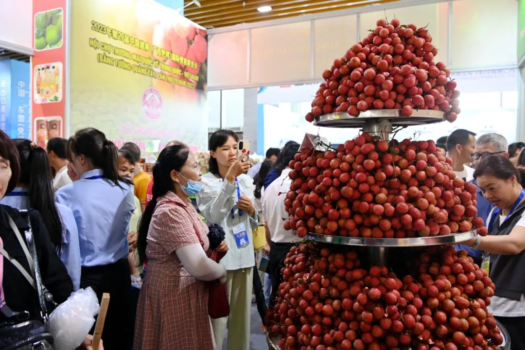 从产品进出口向产业链供应链深度合作转变——从2023年广西·凭祥中越边关旅游节看“双循环”