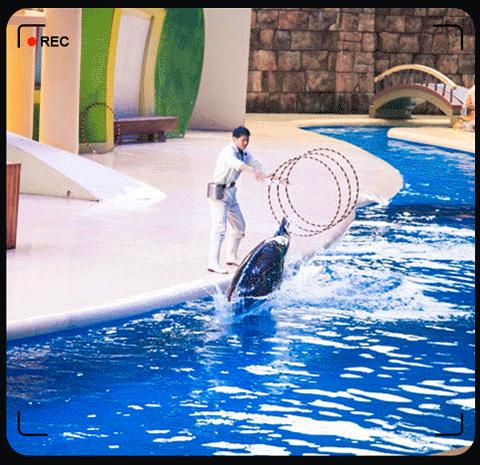 去珠海长隆海洋王国攻略三天两夜,珠海长隆海洋王国3天旅游攻略