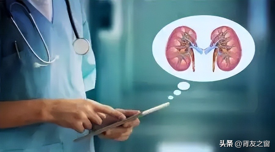 什么是肾盂肾炎?它的“元凶”是谁?