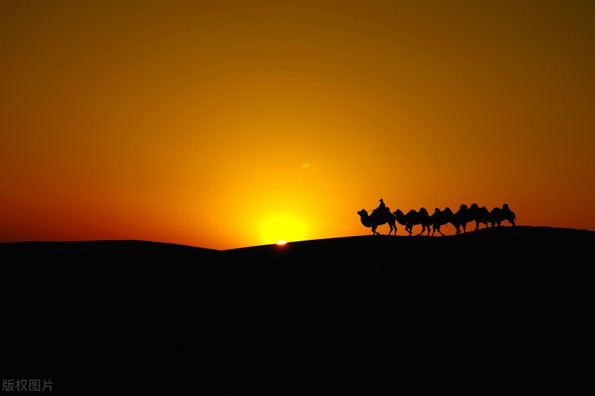 关于边塞风光的诗句只需一句,描写边塞风光的诗句请写出一句