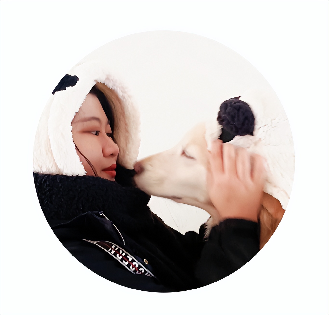 绘图教室改造,画图教室