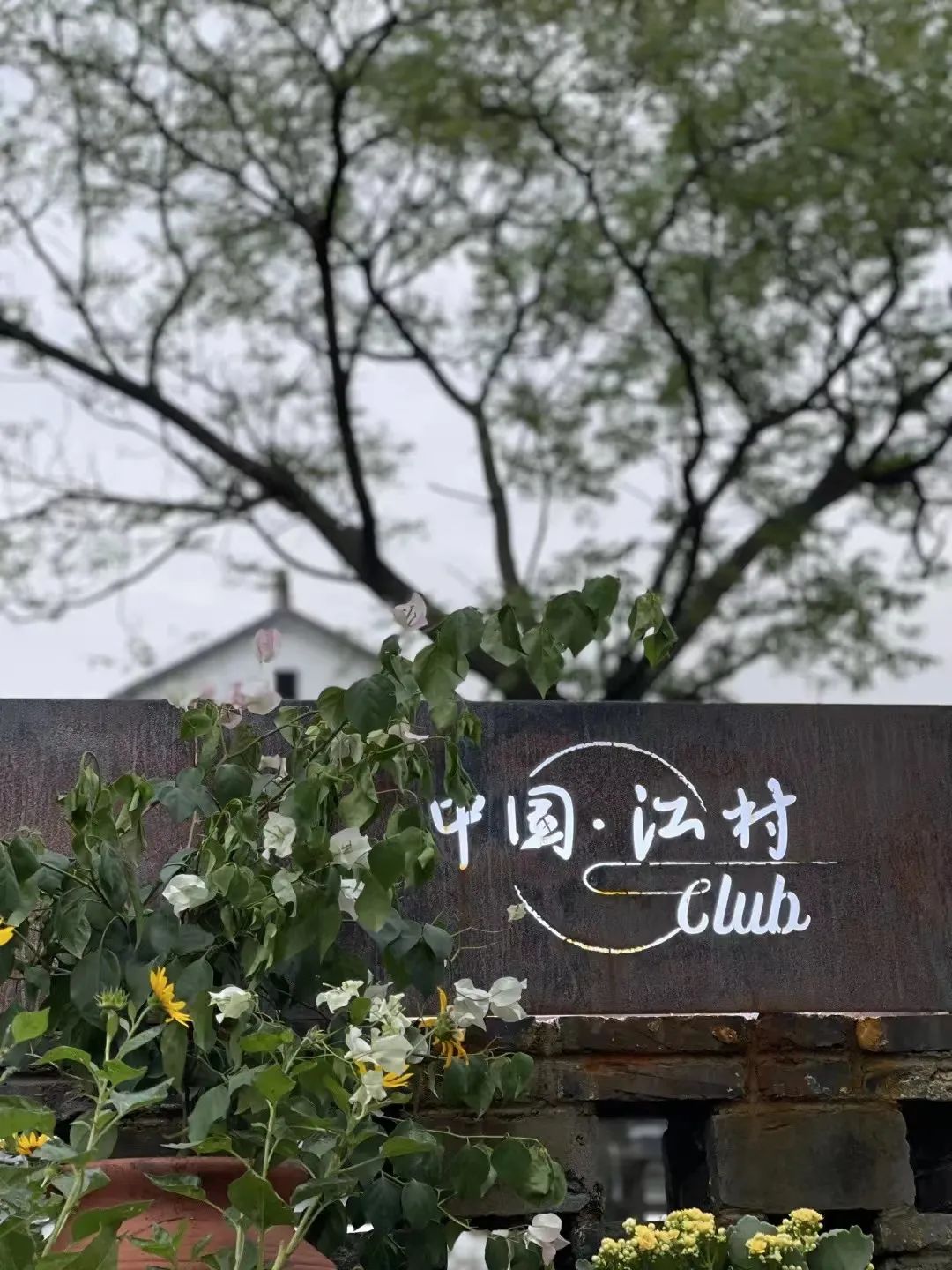 整村运营,整村运营顶层策划