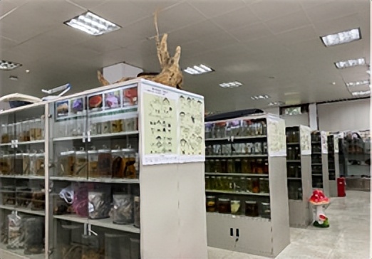 浙大博物馆十大镇馆之宝,浙大考古与艺术博物馆